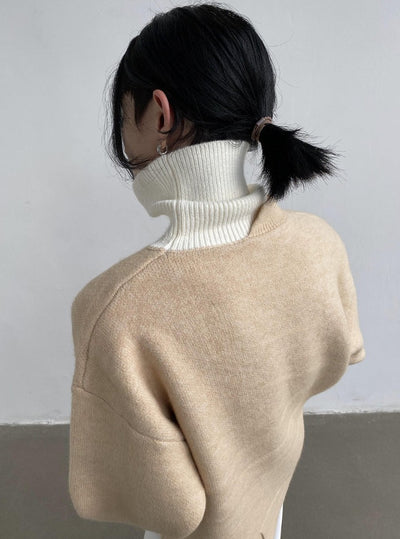 [Immediate delivery available] TURTLE NECK KNIT SWEATER DES997